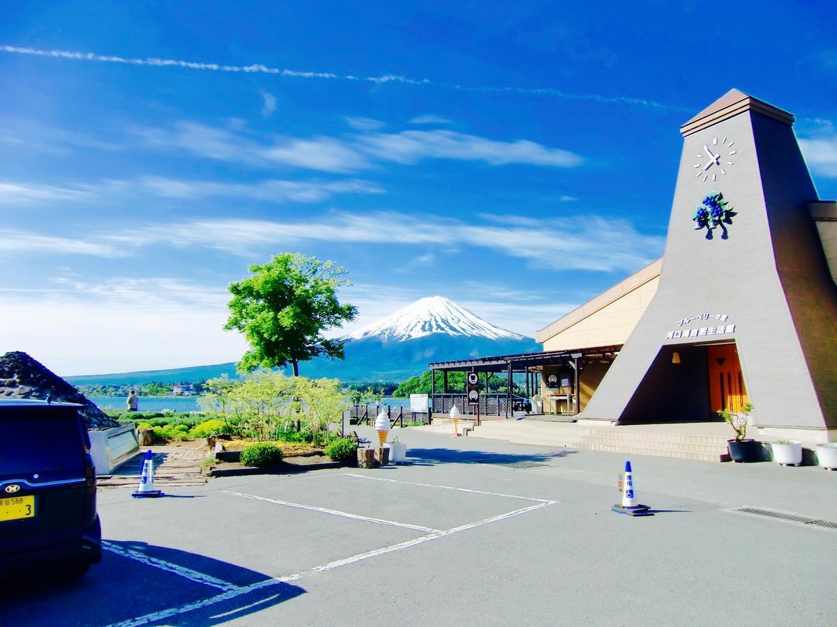 Mt Fuji Cat&Dog&Spa Pension Blue Poppy Fujikawaguchiko Dış mekan fotoğraf