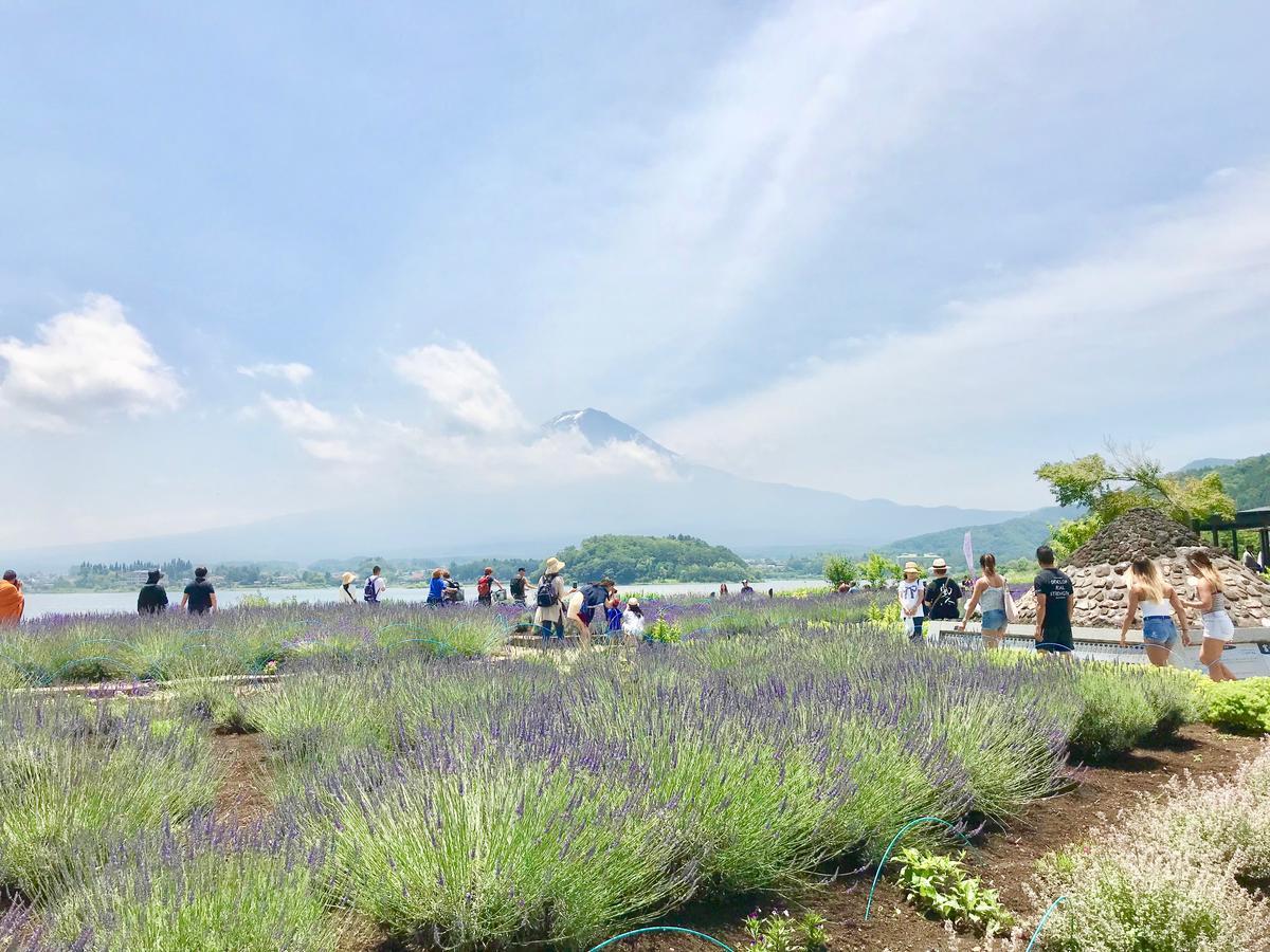 Mt Fuji Cat&Dog&Spa Pension Blue Poppy Fujikawaguchiko Dış mekan fotoğraf