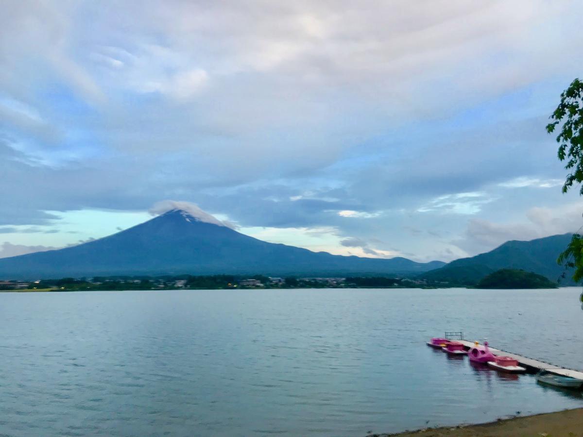Mt Fuji Cat&Dog&Spa Pension Blue Poppy Fujikawaguchiko Dış mekan fotoğraf
