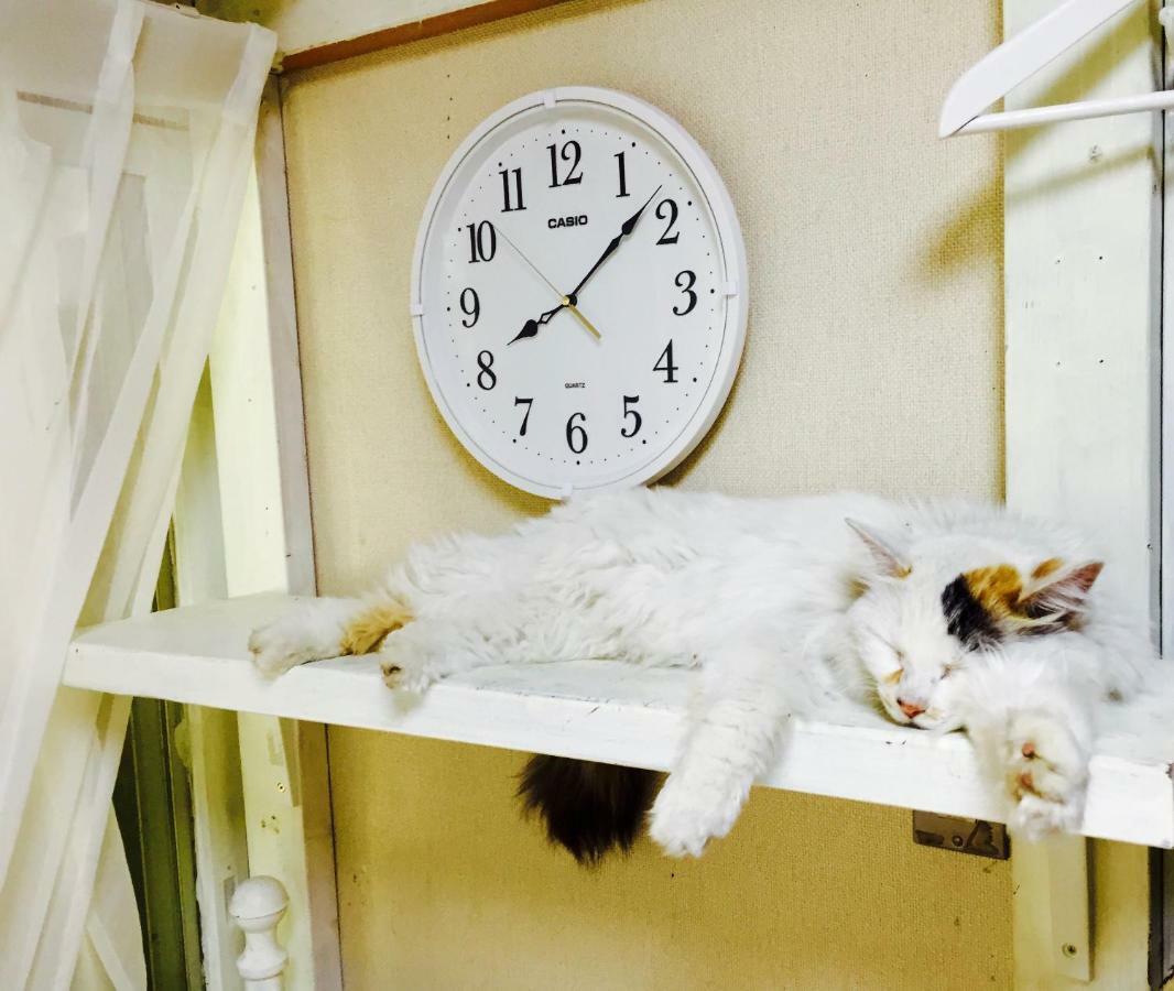 Mt Fuji Cat&Dog&Spa Pension Blue Poppy Fujikawaguchiko Dış mekan fotoğraf